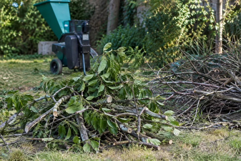 Rameaux fraîchement coupés et branches sèches réunis près d’un broyeur dans un jardin.