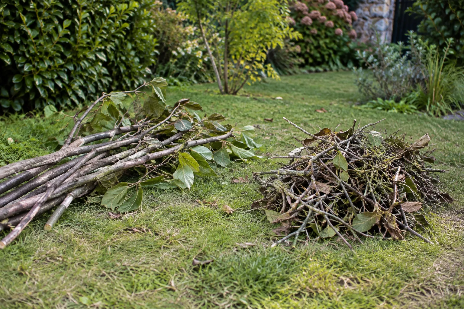 Branches longues et rameaux courts issus de deux types de tailles.