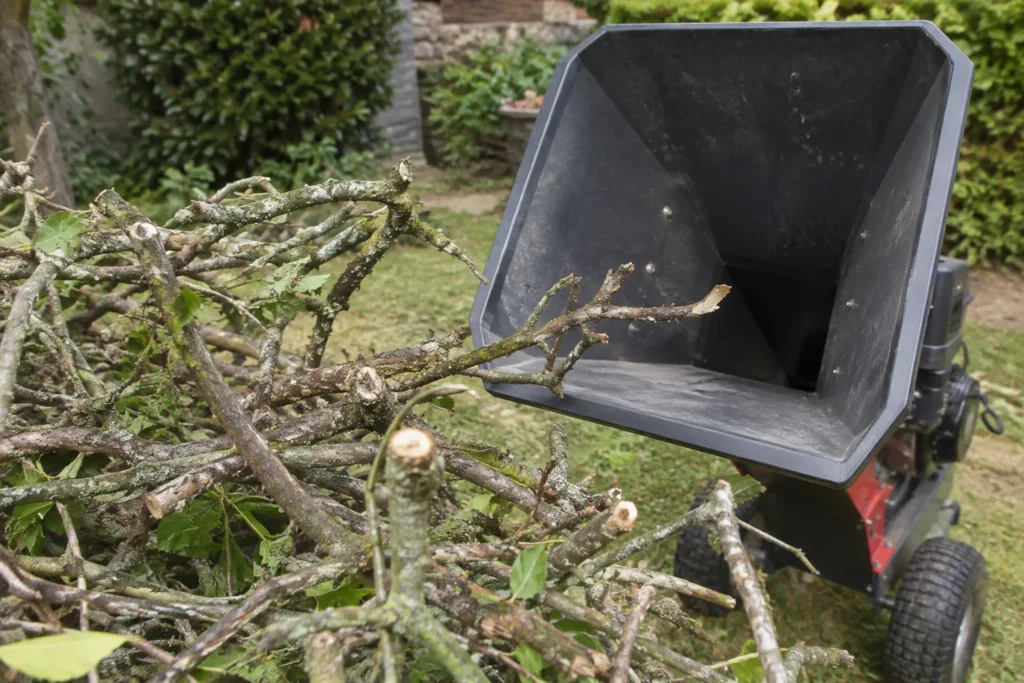 Rameaux fourchus et courbés déposés à côté de la trémie d’un broyeur de branches.